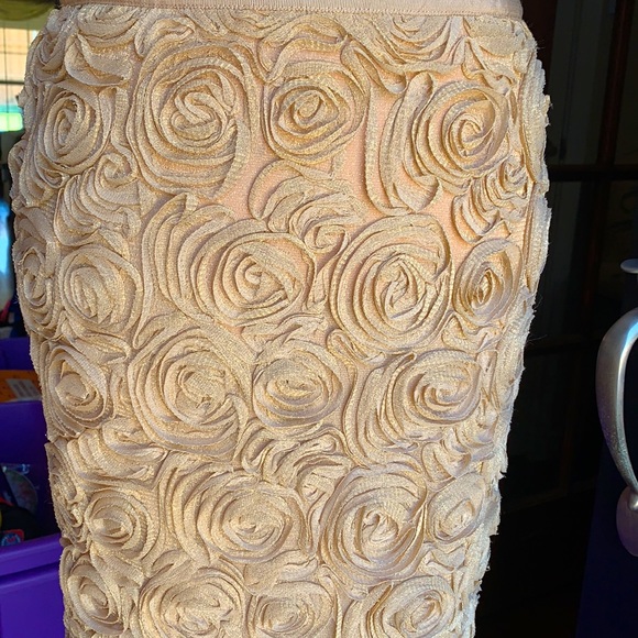 🤩 Banana Republic Skirt - Picture 3 of 7